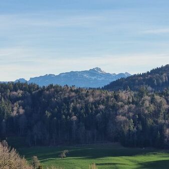 IMG-20230101-WA0021.jpg