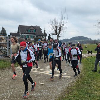 Cross 2025