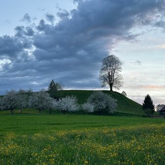 IMG-20240417-WA0002.jpg