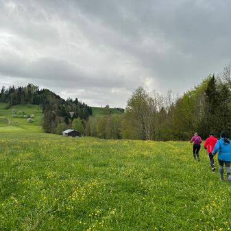IMG-20240417-WA0005.jpg