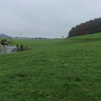IMG_1779.jpg