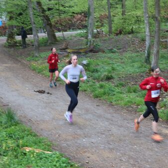 IMG_2737.JPG
