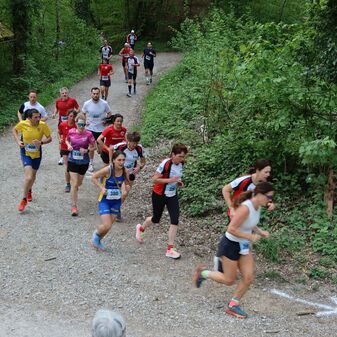 IMG_1190.JPG