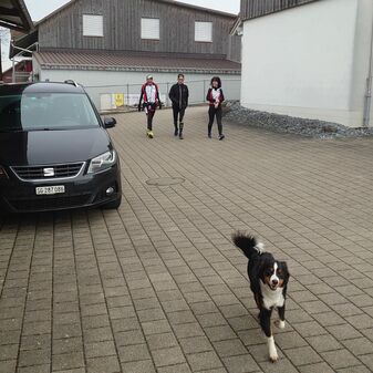 IMG-20241223-WA0018.jpg