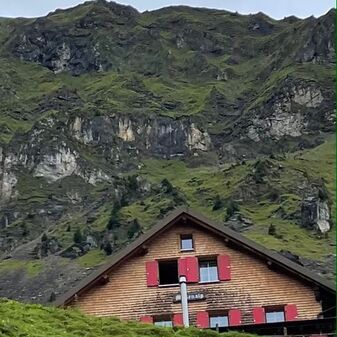 IMG_9217.jpeg