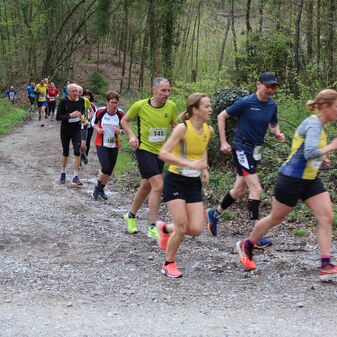IMG_9543.JPG