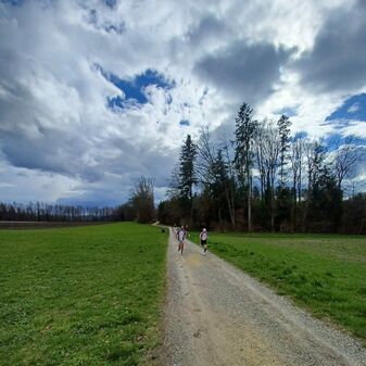 IMG-20240316-WA0011.jpg