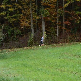 IMG_1915.jpg