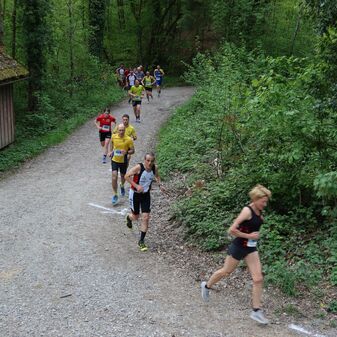 IMG_1185.JPG