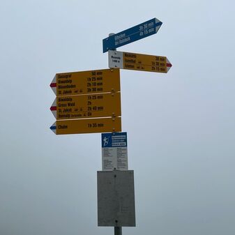 IMG_9185.jpeg