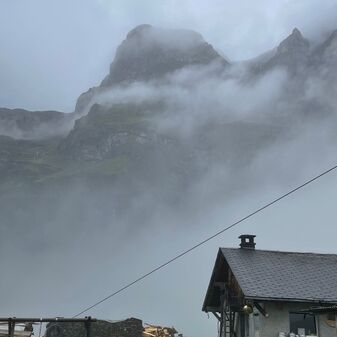 IMG_9196.jpeg