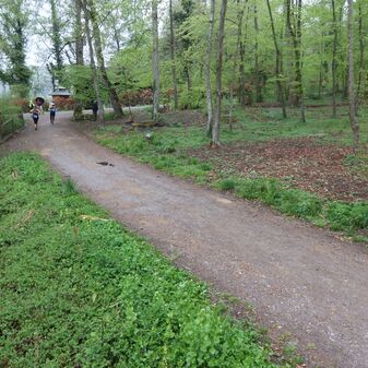 IMG_2752.JPG