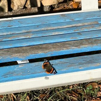 IMG-20230102-WA0002.jpg