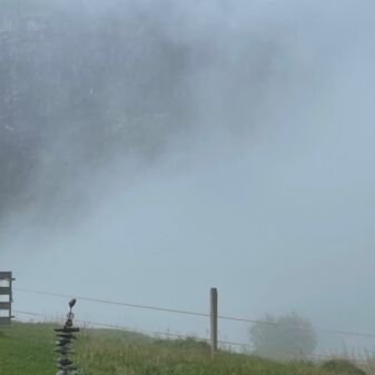 IMG_9191.jpeg